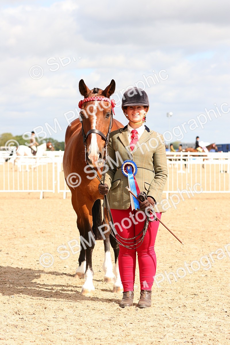 SBM_11761 - Class 208 - IH Veteran Horse