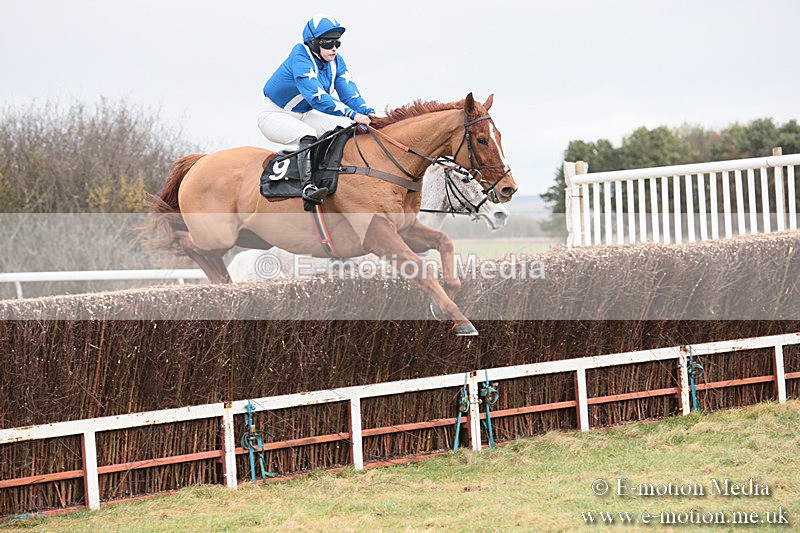 PtP 230119 258 - Royal Artillery Point-to-Point  - Larkhill  - 26/01/19