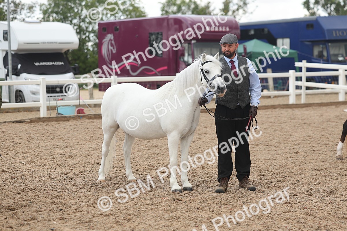 SBM_03273 - Class 16 - IH M&M Wildcard