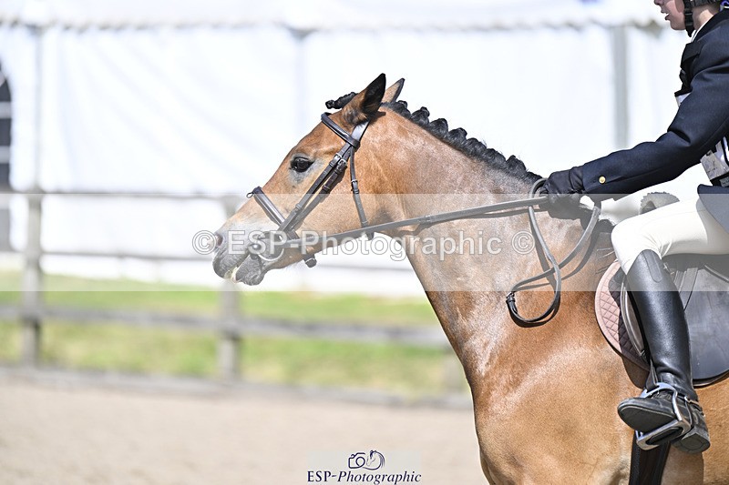 240823X-113557-16134 - 60cm R2 11.00 to 12.30