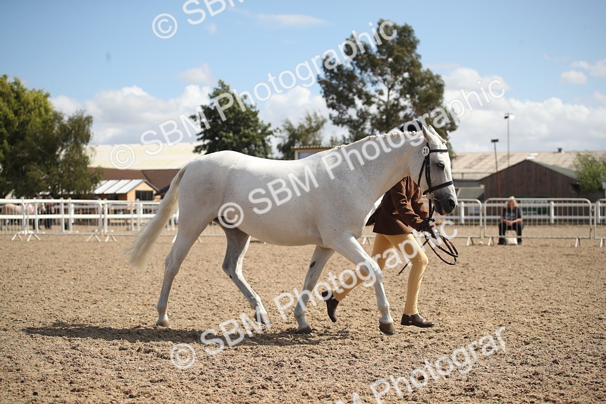 SBM_23559 - Class 605 - 2026 - Area - IH Veteran