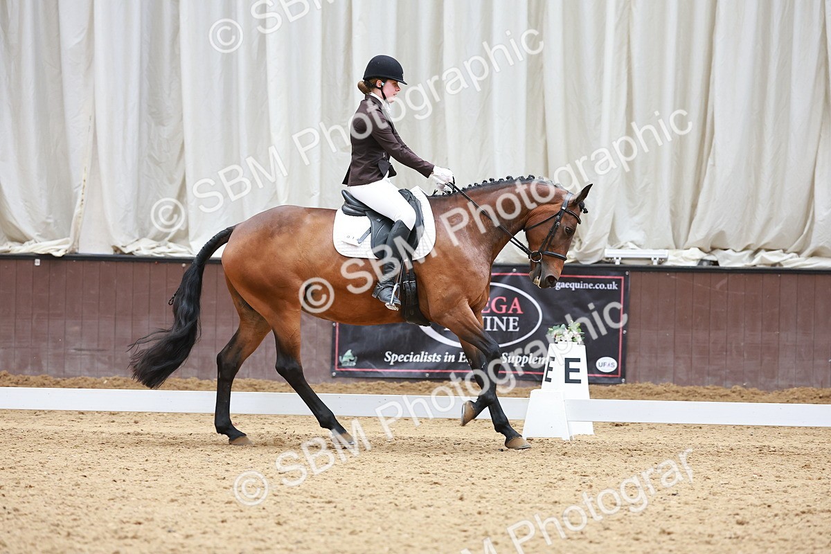 SBM_007576 - Class 4-5-6 - Prel 3-Novice 2-Ele 2
