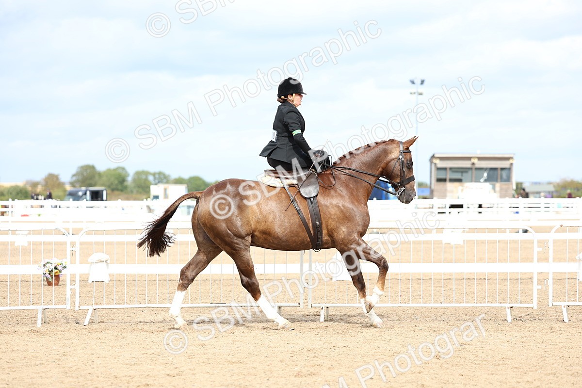 SBM_03312 - Class 23 - SSA Classical (any age)
