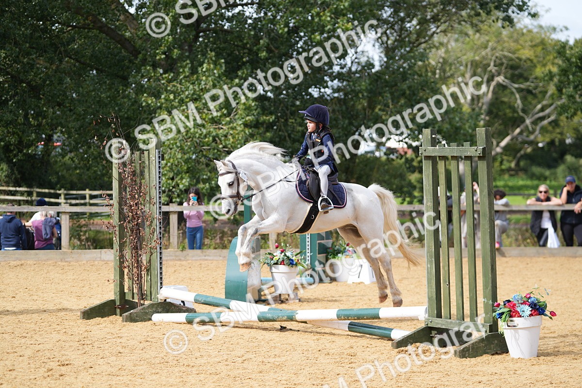 SBM_65700 - J2 - Mini Tour Junior Pony 30cm Championship
