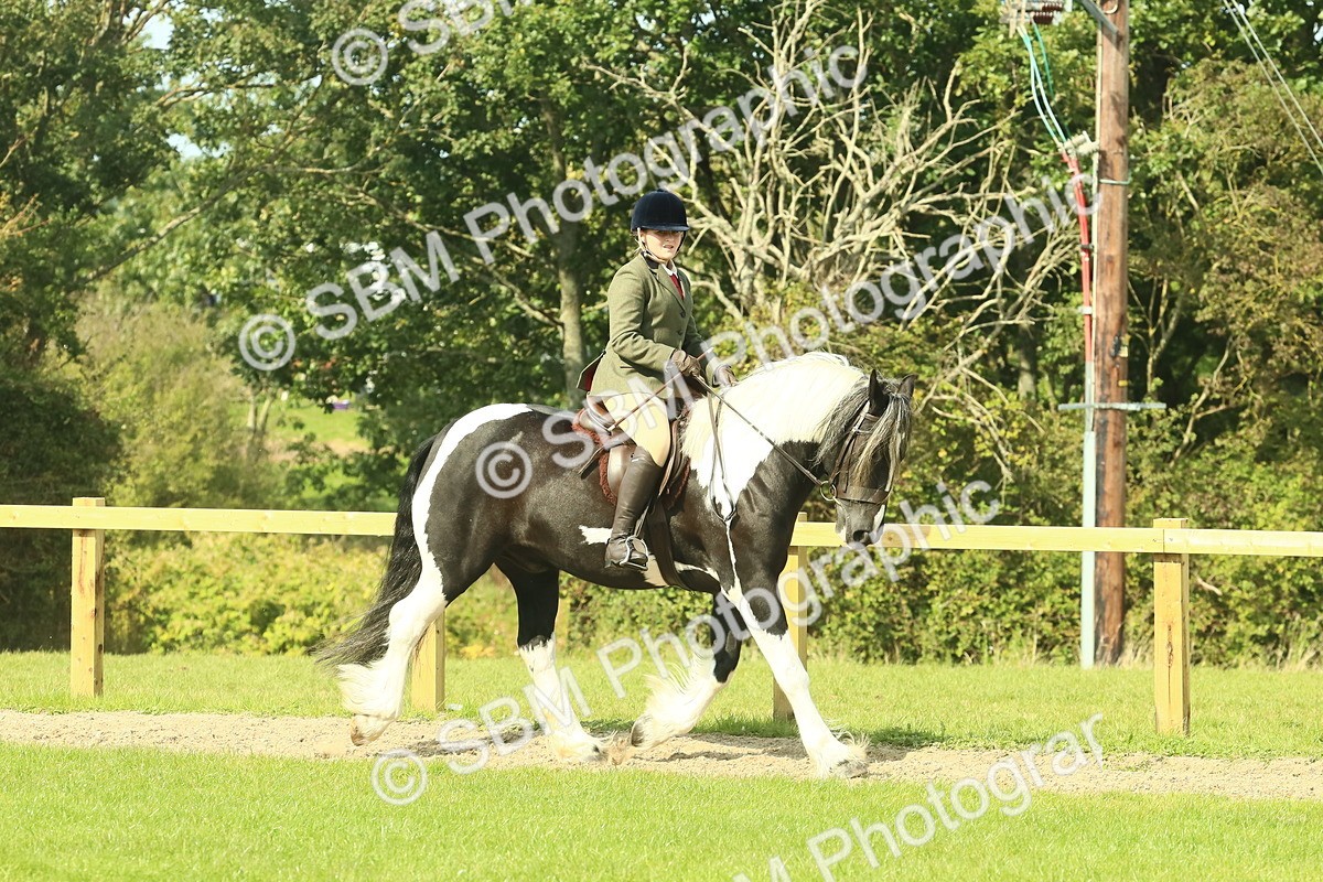 SBM_67469 - S56 - Coloured Pony Ridden
