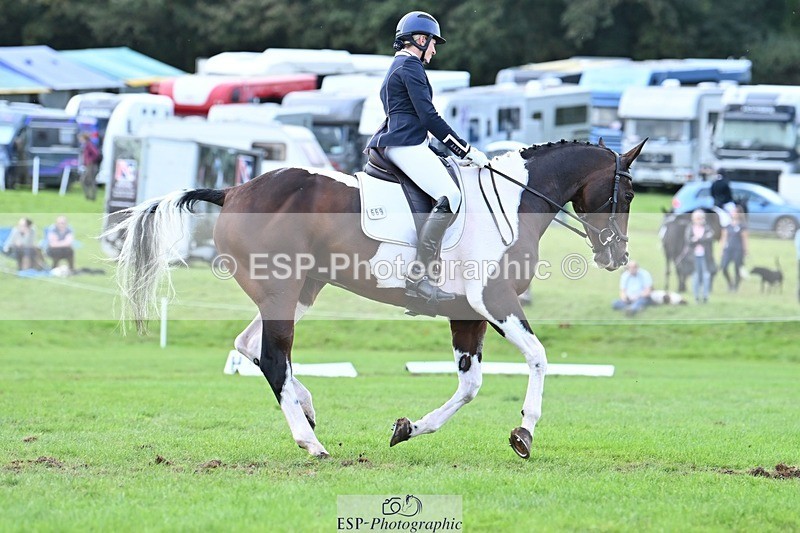 231020-145306-11009 - 669-FOXRIDGE.HIGH.JINX-Claire.Deuten-DR