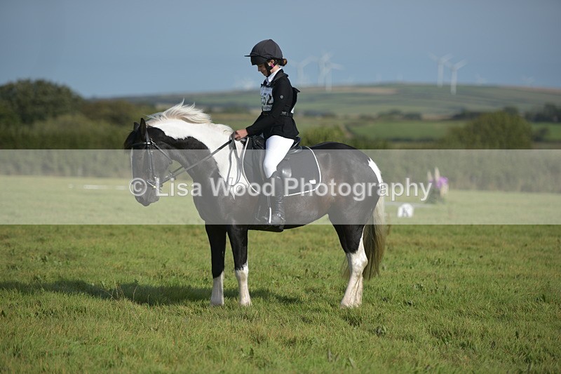RAY_7647 - Class 2B: Trekenning Open: Dressage