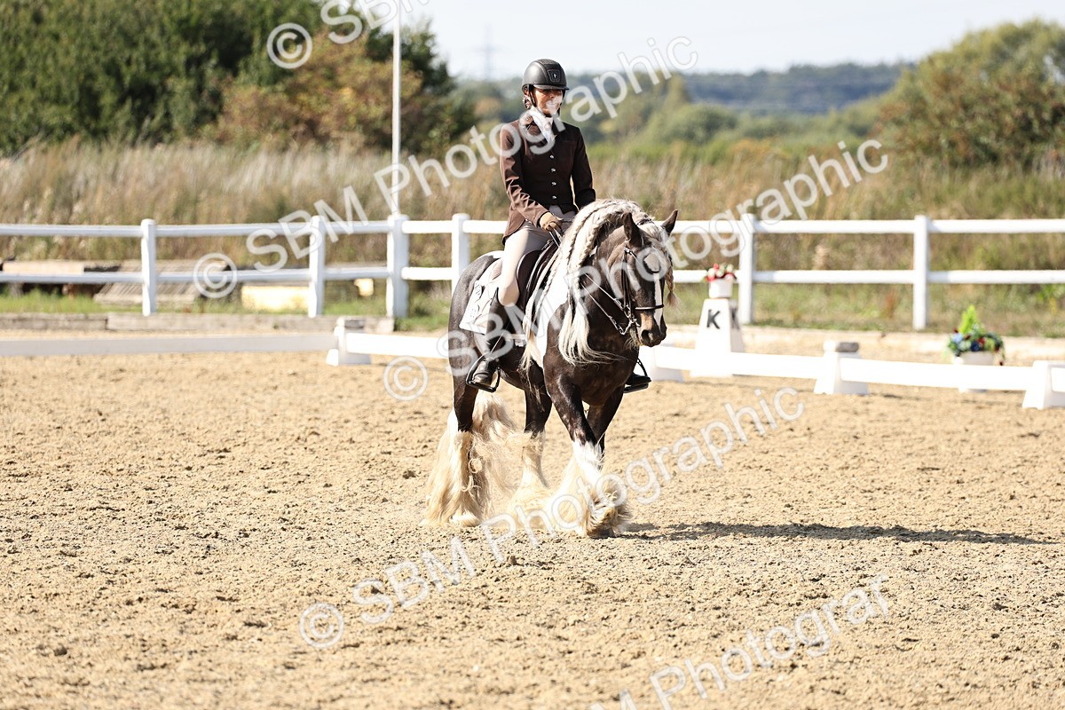 SBM_015268 - Class 9 - Advanced medium 3