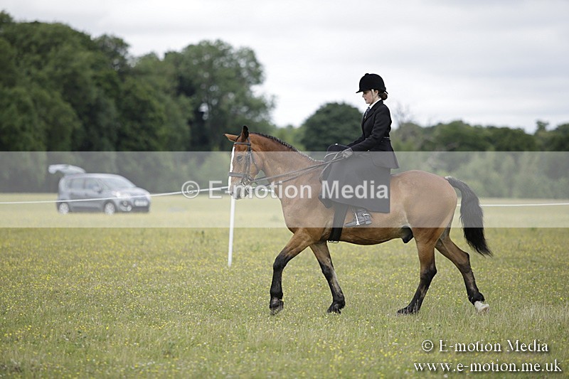 BVR160717-1948 - Side Saddle Classes 16/07/17