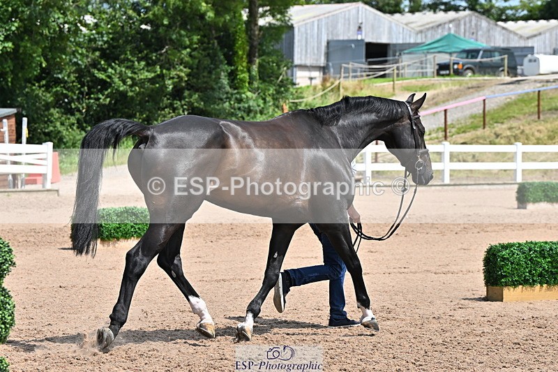 240718A-105258-01394 - Trot Up 12pm to 1pm