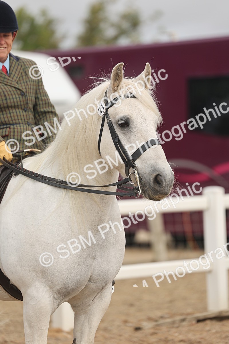 SBM_01959 - Class 14 - Ridden M&M Wildcard