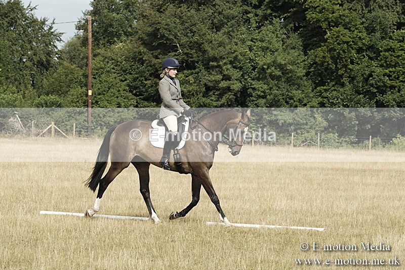 _PJP5673 - Dressage Classes BVRC Show 2018