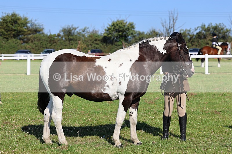 IMG_1398 - Class 28: Ridden Plaited Coloured Pony