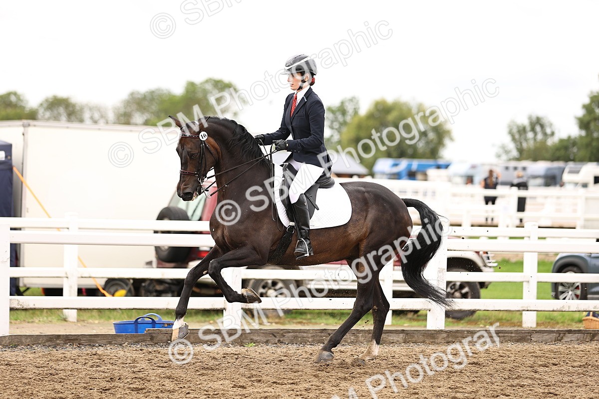 SBM_01383 - Class 54 - Riding Club Horse Pony