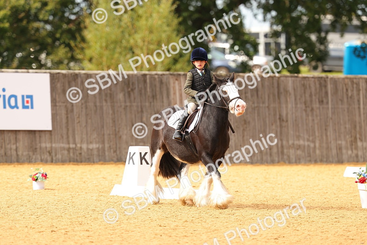 SBM_48218 - D22 - Junior Championship - Intro B