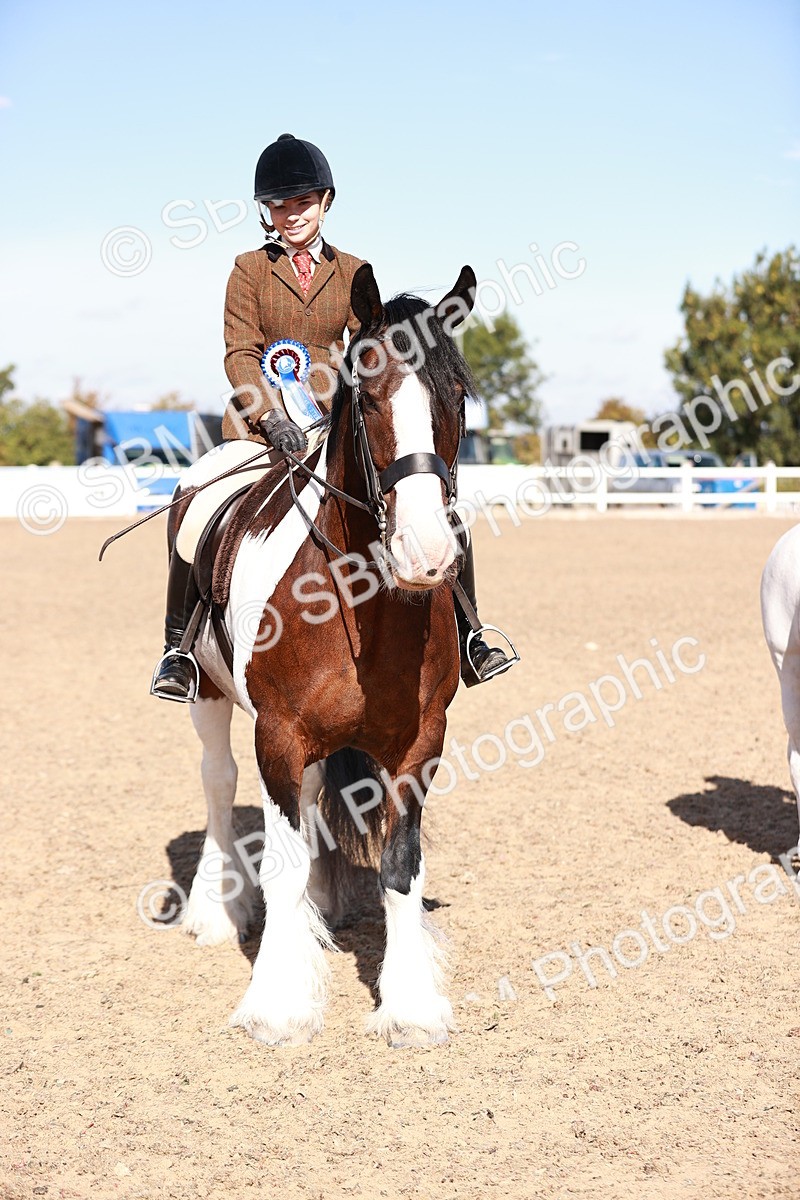 SBM_12534 - Class 403 - Grassroots Ridden - Junior