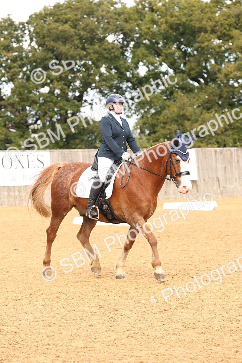 SBM_40619 - D6 - Small Tour Championship Intro 4