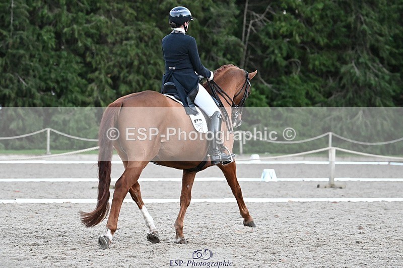 231110-163537-02683 - Cls 14 FEI Grand Prix