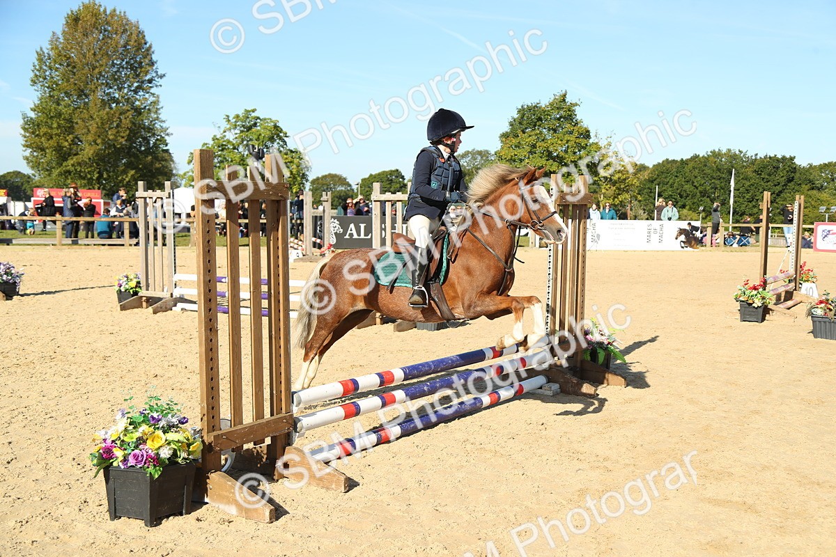 SBM_35917 - J5 - Junior Pony 50cm Championship