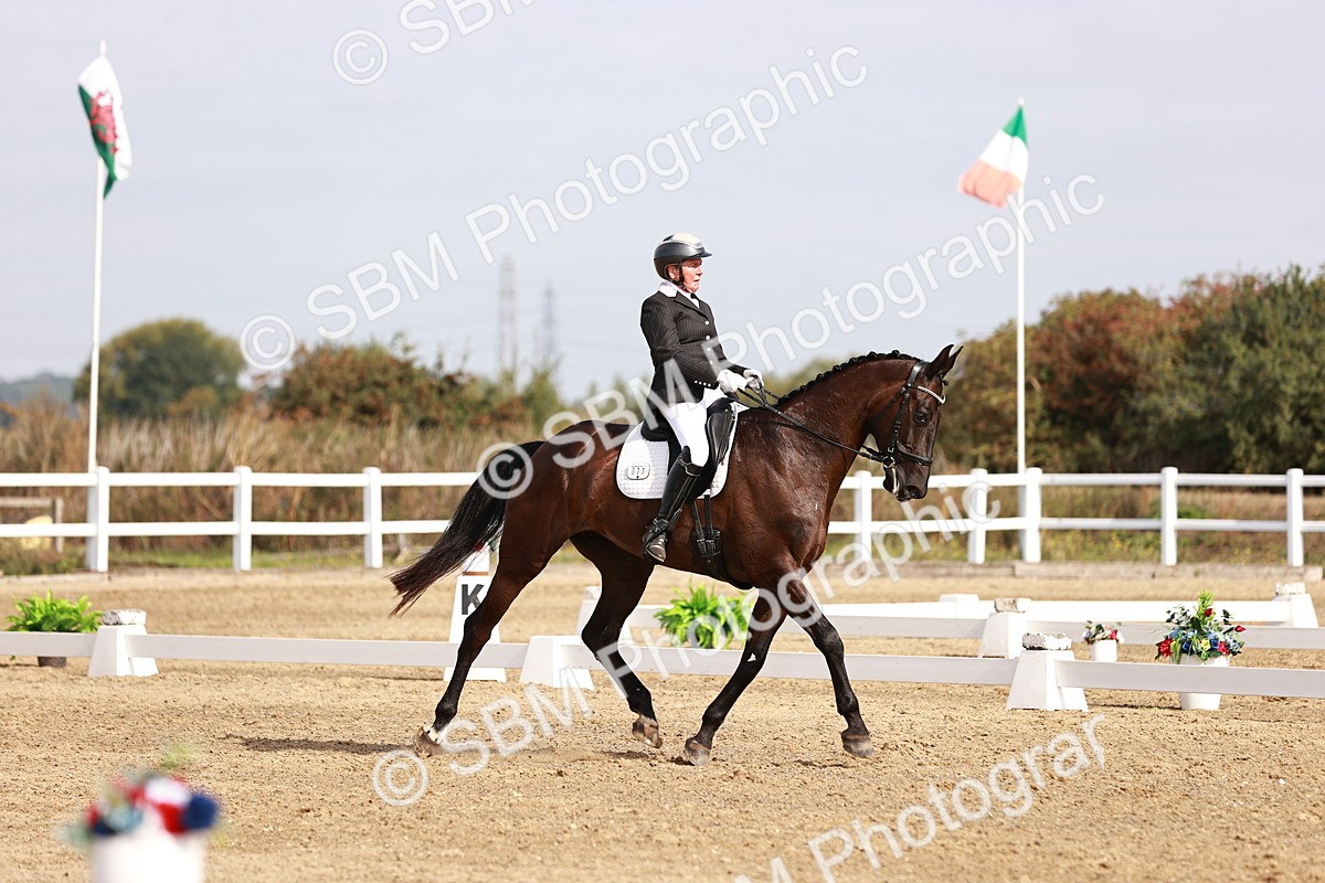 SBM_016987 - Class 10 - Medium 6