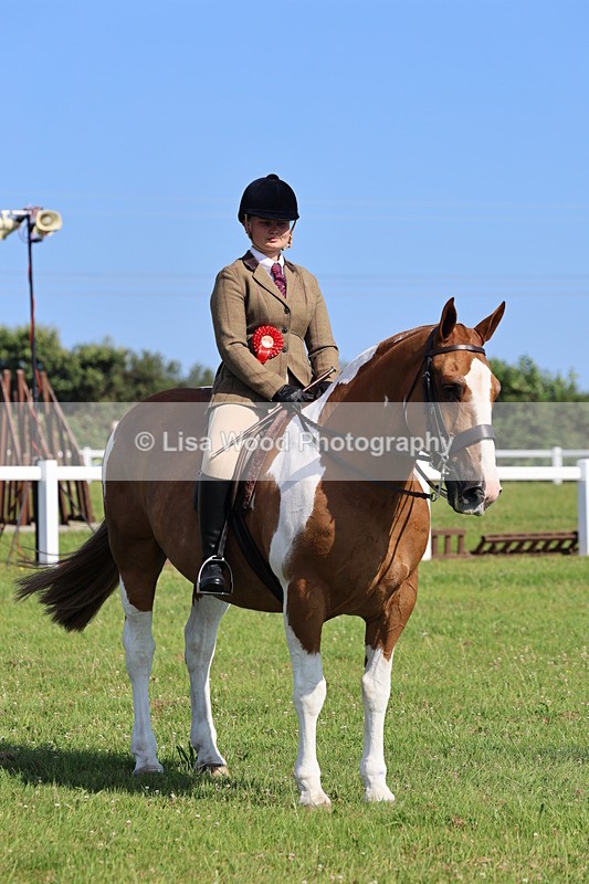 IMG_1674 - Skewbald and Piebald Ridden Championship