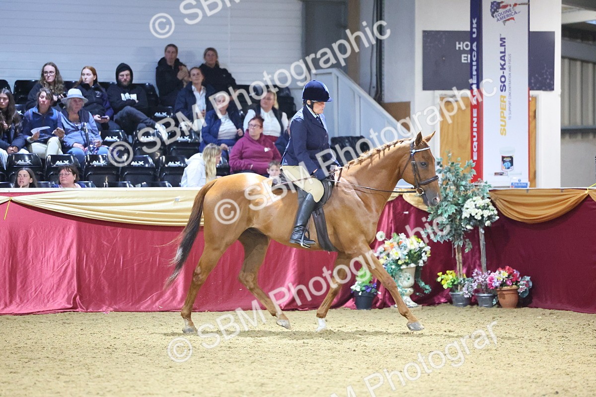 0B8A4270 - Class 108Ridden Retired Racehorse- Final Judging