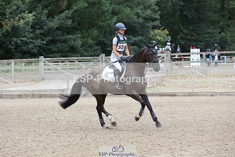 250803A-114457-12477 - M-551-Henrietta.Ewell-TALOULIETA.TD.Z