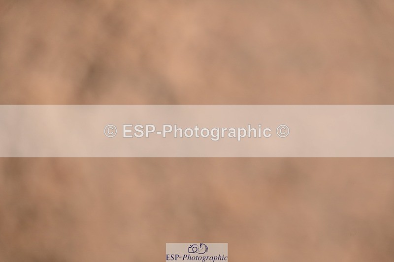 250912-140842-04763 - Cls 19 Area Trial