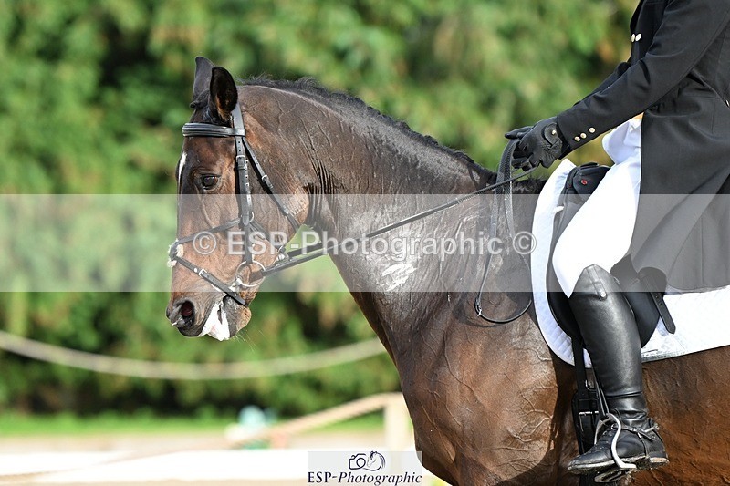 231019-164131-05396 - 071-BALLYVOGUE.OLYMPIC.VIEW-Duncan.Morgan-DR