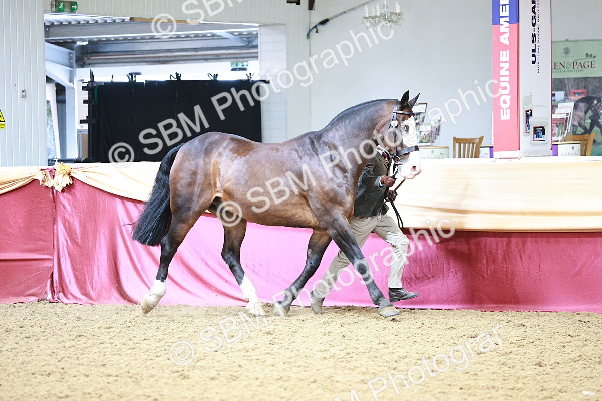 SBM_01164 - Class 3A - Area IH Pre-Vet