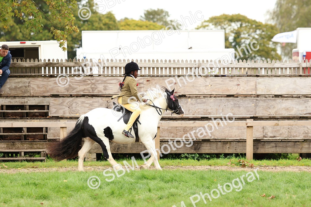 SBM_64581 - S58 - Coloured Pony Ridden