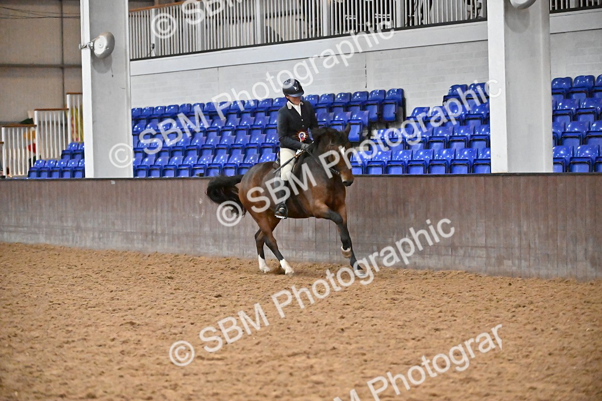 SBM_003065 - Class 37,38 - UKPSAF Performance Horse & Pony