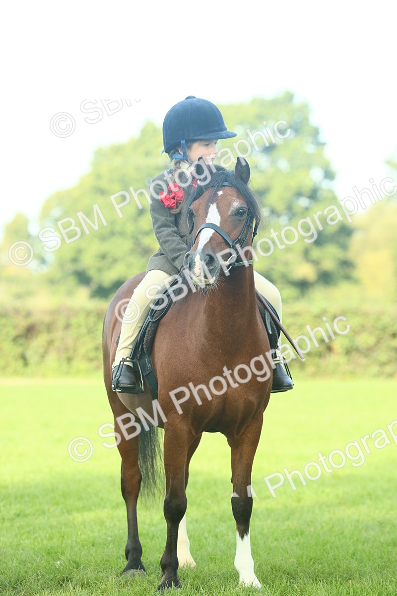 SBM_59855 - S38 - Starters Ridden Showing