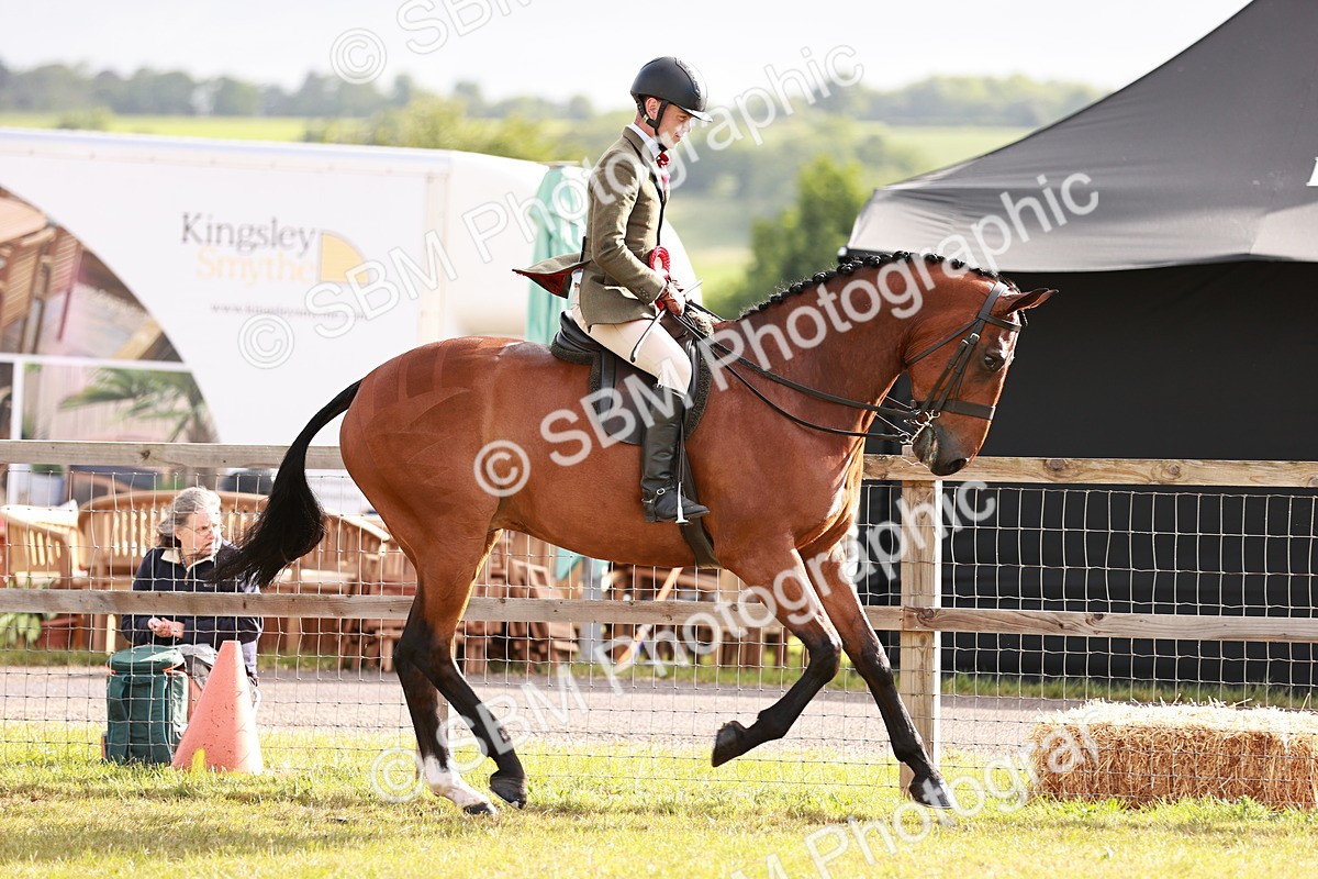 SBM_10827 - Class 81-84 - RIHS Ridden hunters Inc Ladies Hunter