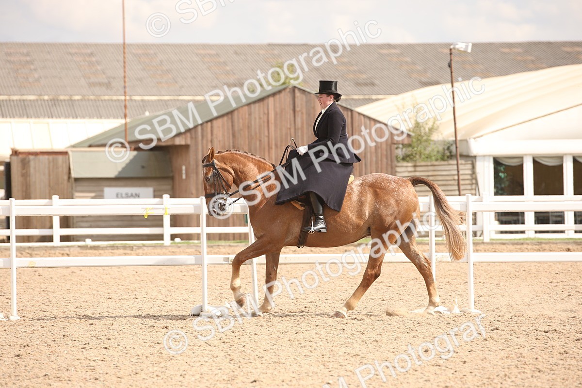 SBM_06736 - Class 24 Concours d'elegance