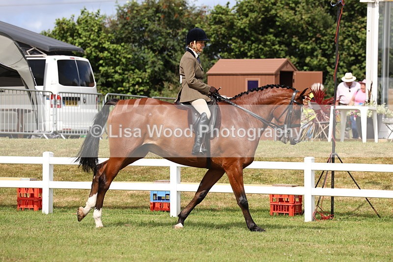 3E7A9301 - Class 4: Rising Star M/H Hunter