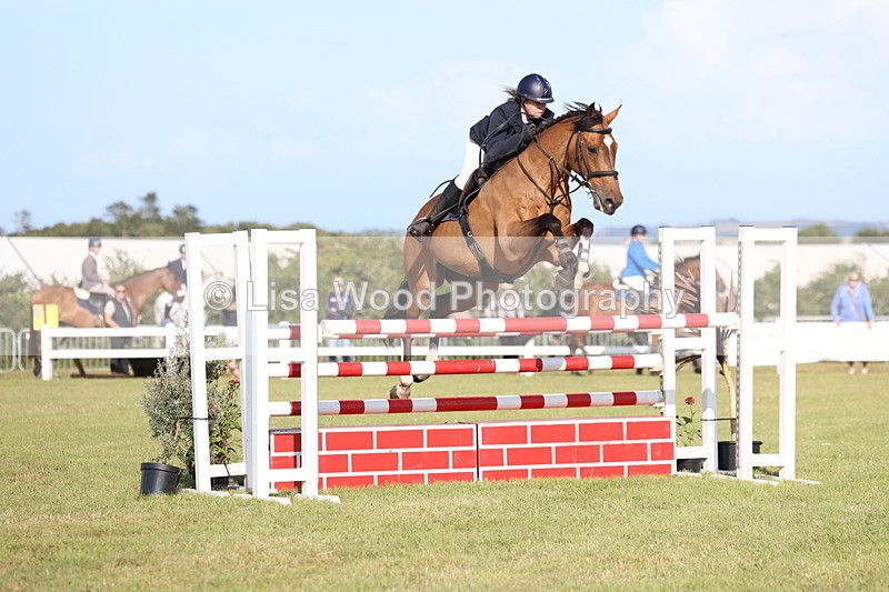 3E7A4347 - Class C: Showjumping Senior Foxhunter