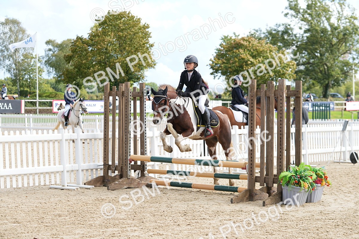 SBM_46937 - J7 - Junior Pony 60cm Championship