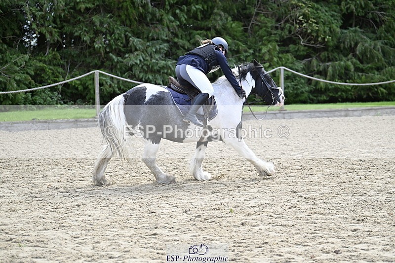 251005A-121451-03677 - Cls 08 Mini 70-75cm