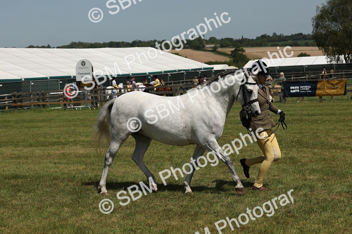 SBM_06770 - Class 26-30 - Mountain and Moorland Ridden