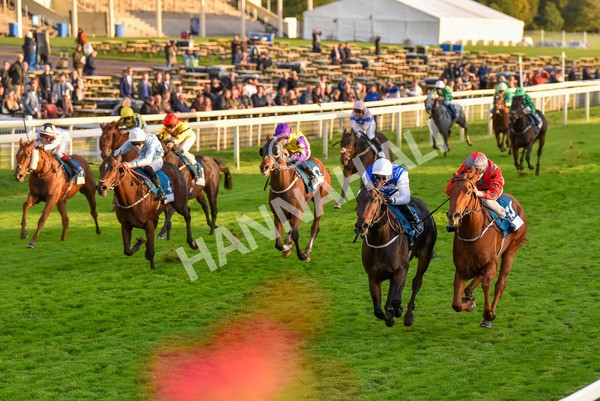 131023-Race 7-Thunder Roar-0140 - Race 7 5.35pm Visit Irish Bloodstock Sales With ITM Apprentice Handicap