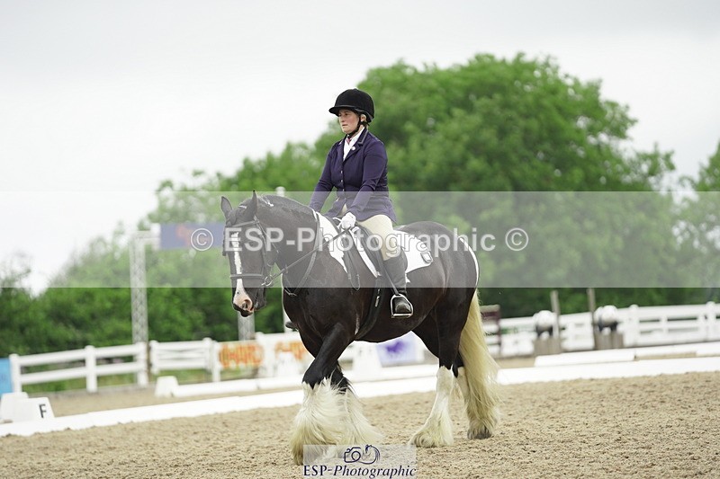 230708A-100432-00296 - Intro C