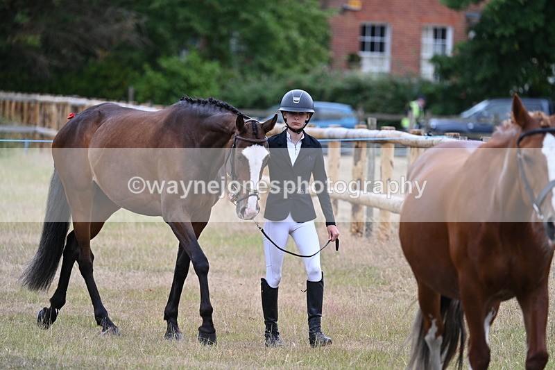 WJ7_9041 - Class 4a Prettiest Mare 14.2hh and over
