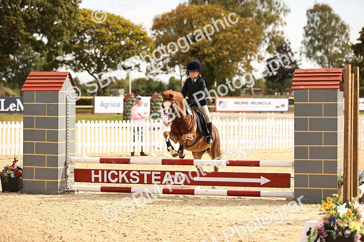 SBM_66842 - J13 - Junior Pony 60cm Championship