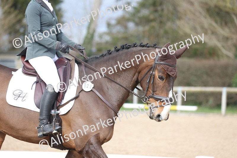 20260301-0213 - Class 3 - Novice 4