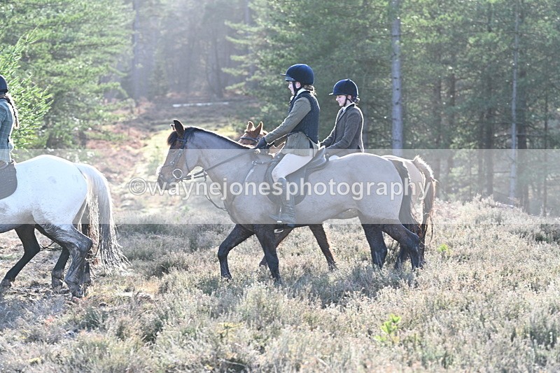 WJ7_7247 - Line 3 (no line 4 or 5)