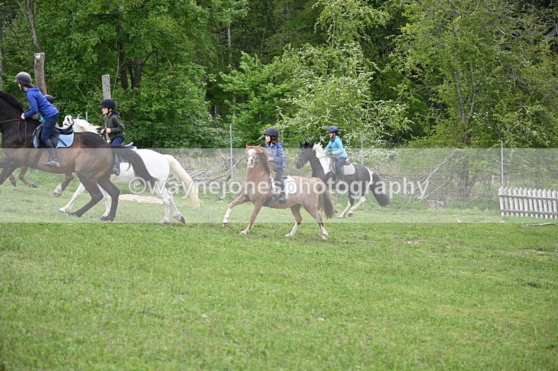 WJ6_3042 - A Camera