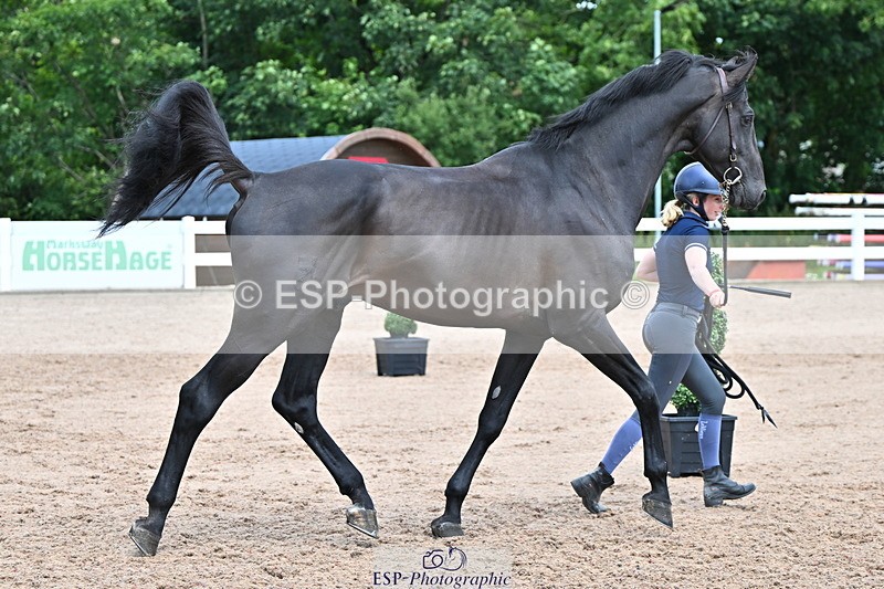 240718A-105309-01632 - Trot Up 1pm to 2pm