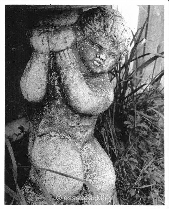  - Odds and Sods(others)