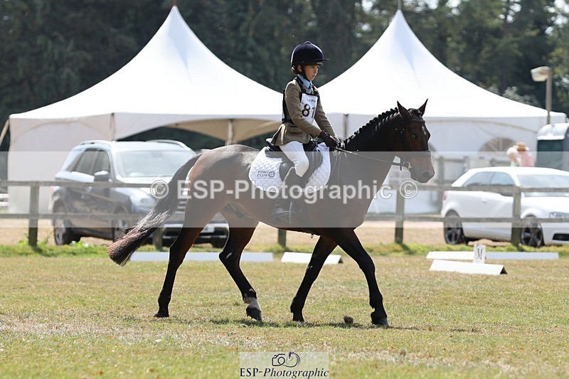 250823A-134043-31565 - Arena C